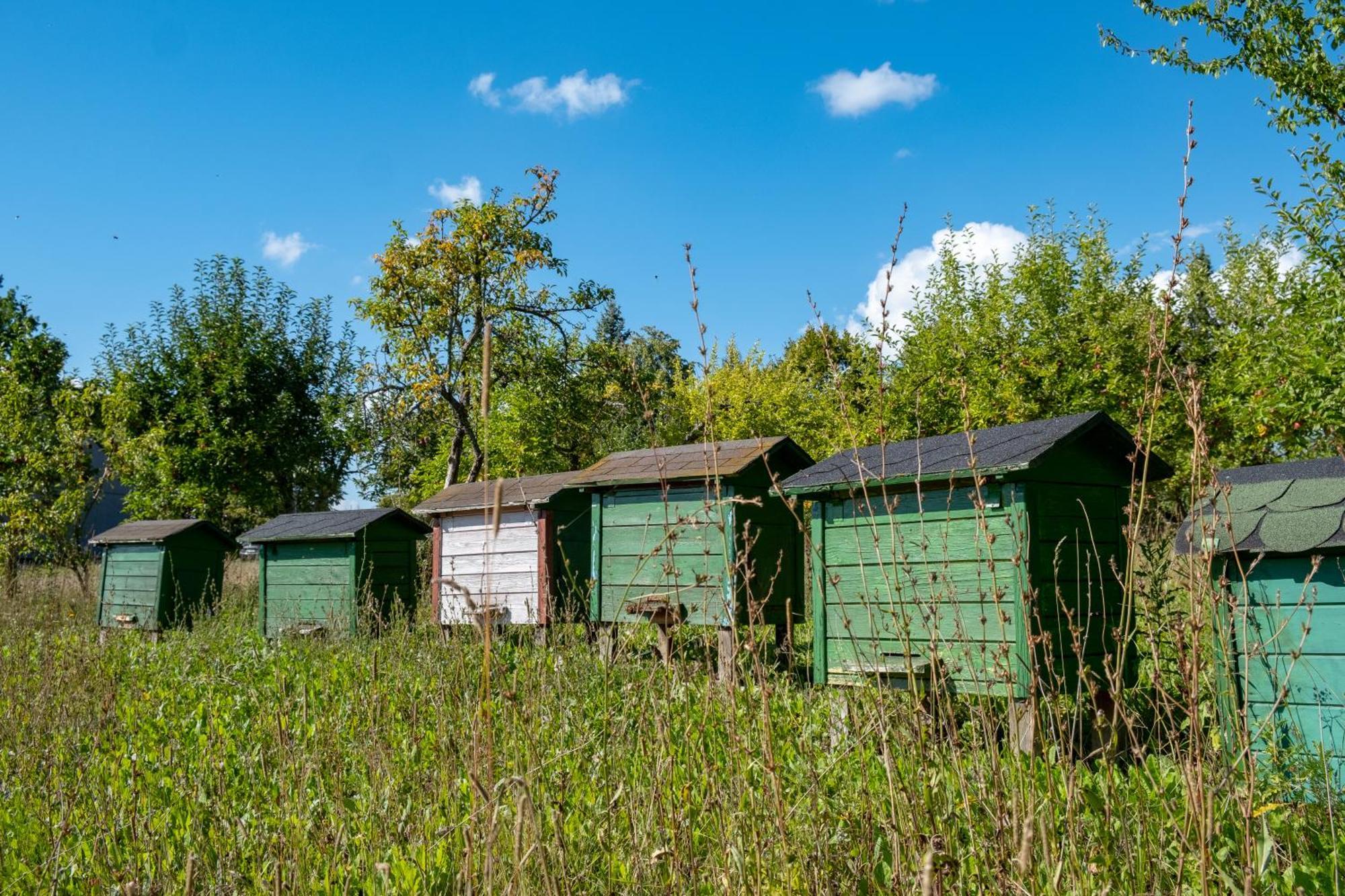 Siedlisko Leszczewekヴィラ エクステリア 写真