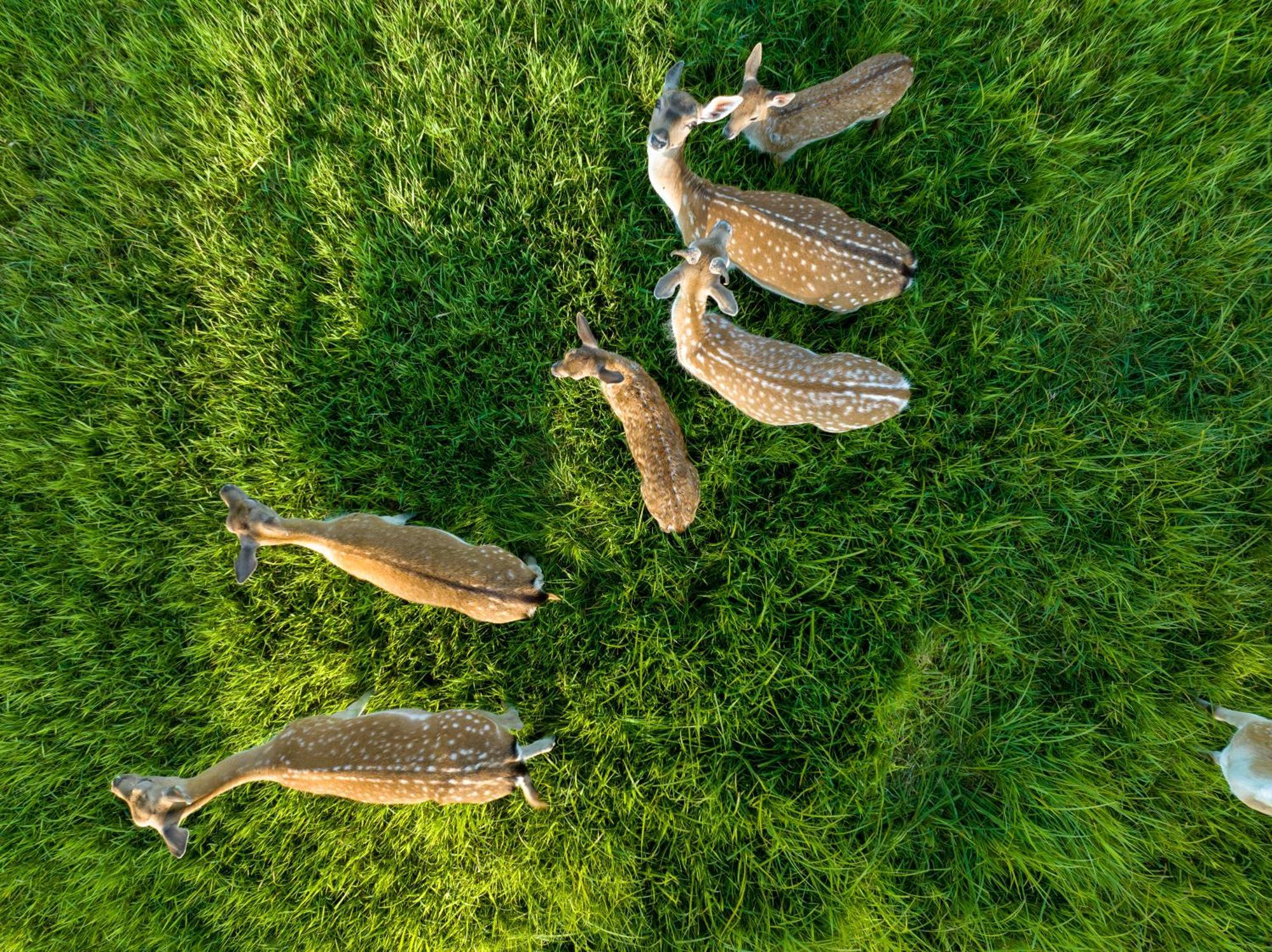 Siedlisko Leszczewekヴィラ エクステリア 写真