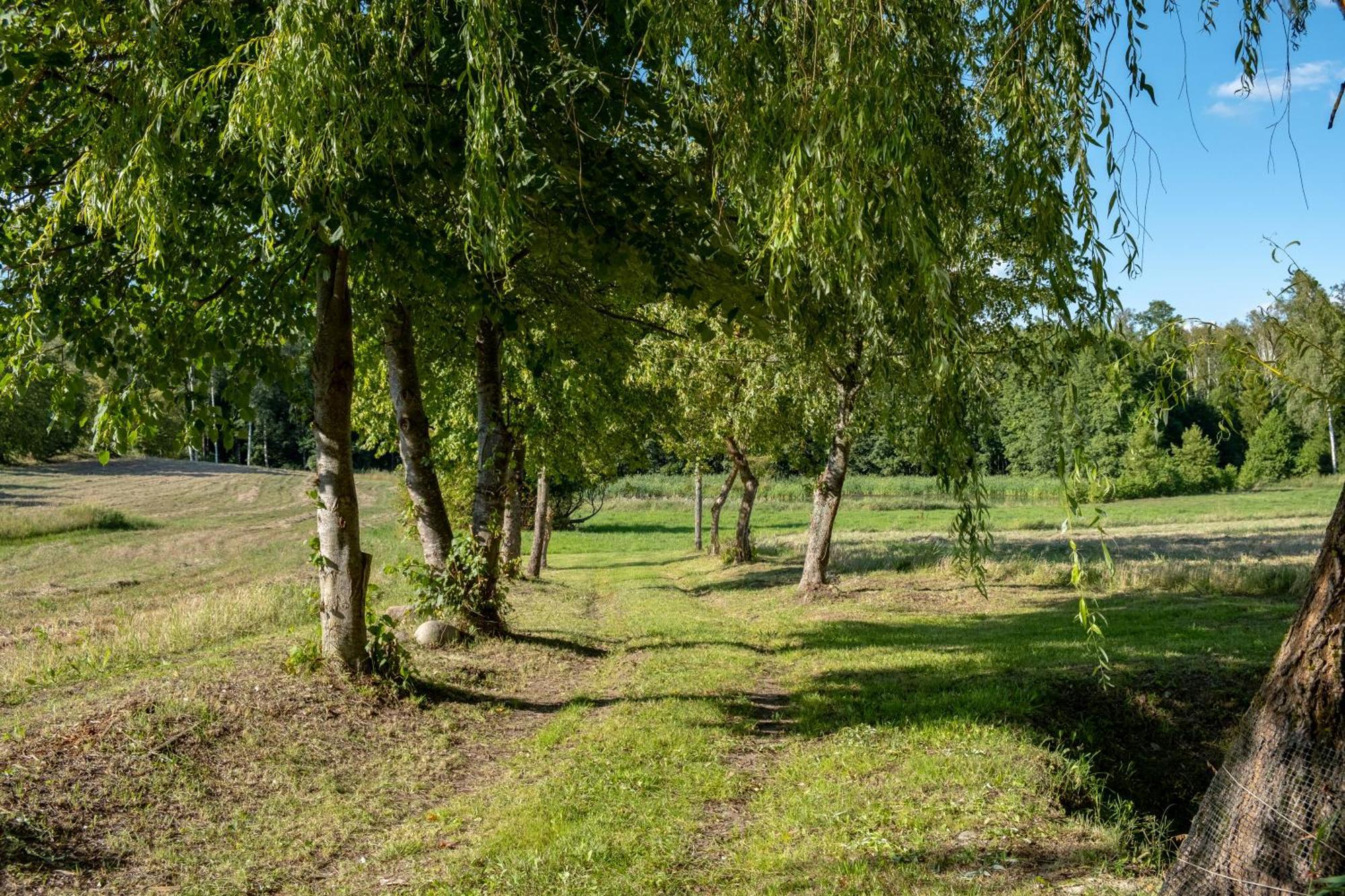 Siedlisko Leszczewekヴィラ エクステリア 写真