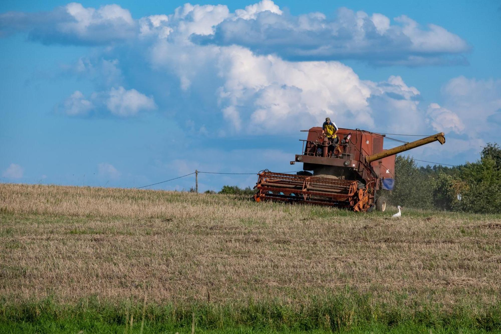 Siedlisko Leszczewekヴィラ エクステリア 写真